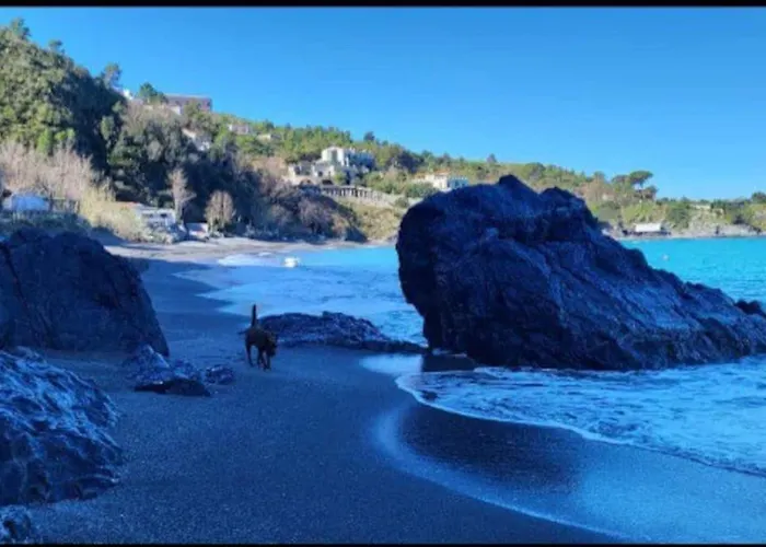 Casa Vista Mare Σπίτι διακοπών San Nicola Arcella